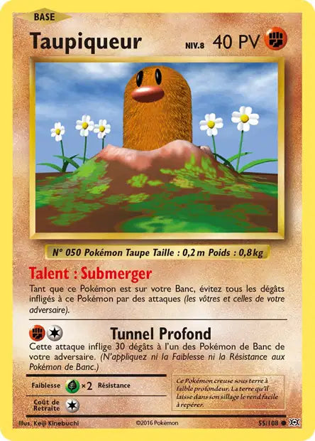 Taupiqueur - Xy Évolution - 55/108