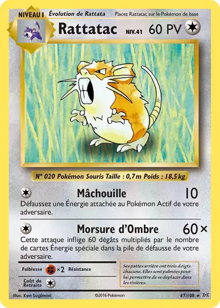 Rattatac - Xy Évolution - 67/108