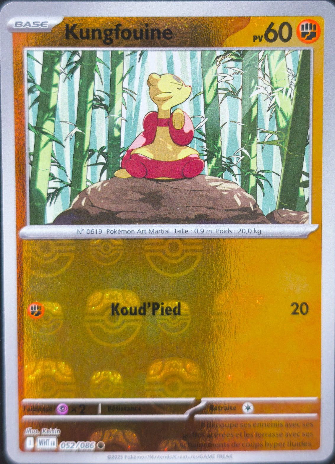 Kungfouine Masterball - Flamme Blanche - 052/086