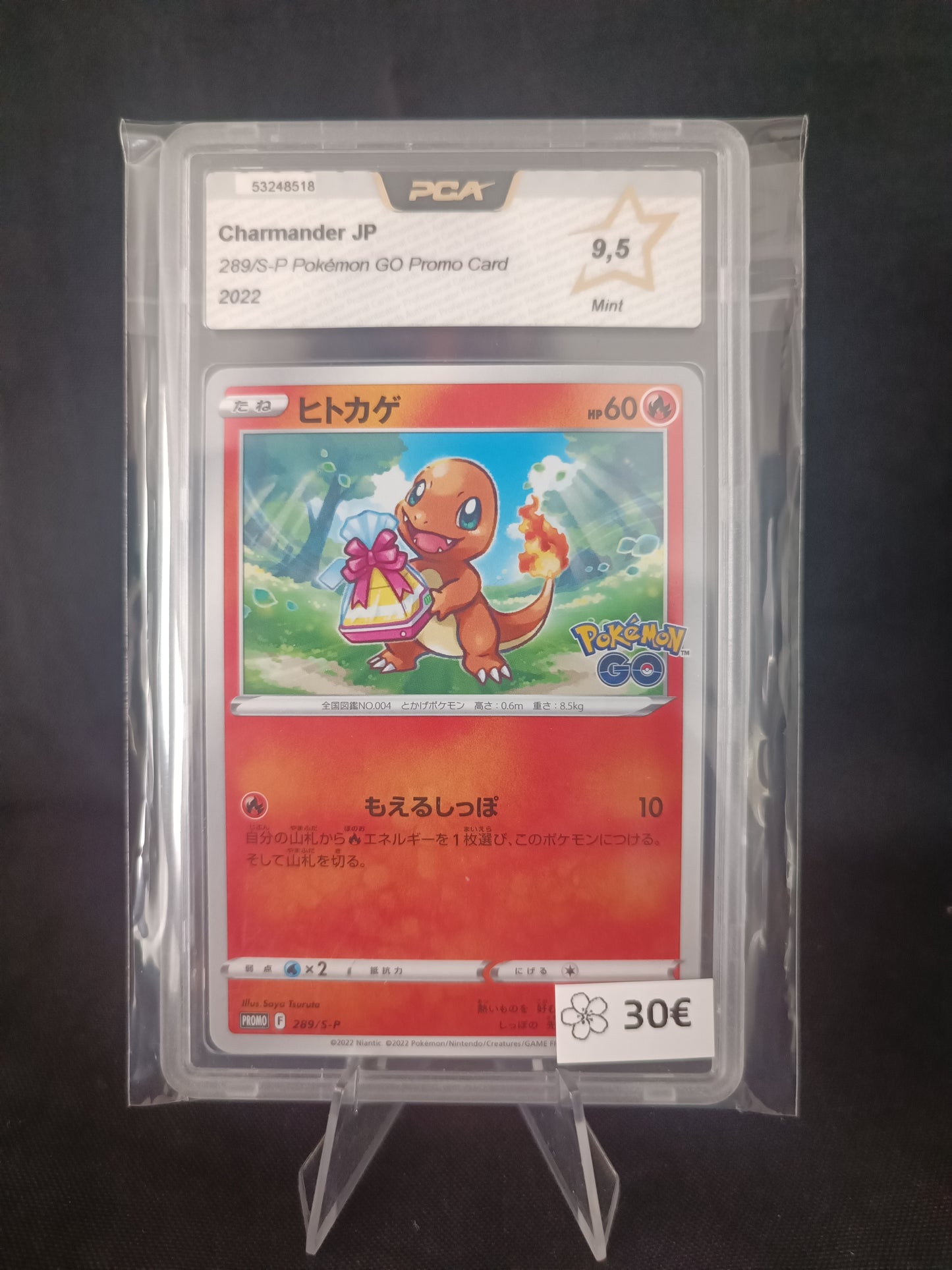 Salameche Pokémon Go Gradee PCA 9.5 - Promo Japonais - 289/S-P