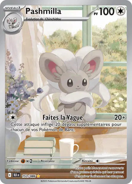 Pashmilla IR - Foudre Noire - 153/086