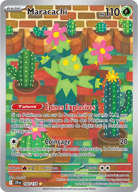 Maracachi IR -Aventure Ensemble - 160/131