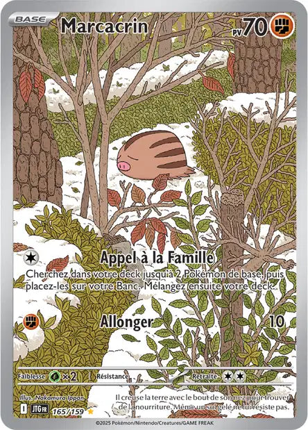 Marcacrin IR -Aventure Ensemble- 165/131