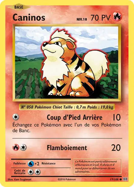 Caninos- Xy Évolution - 17/108