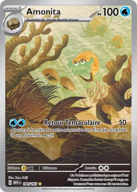 Amonita IR - 151 - 180/165