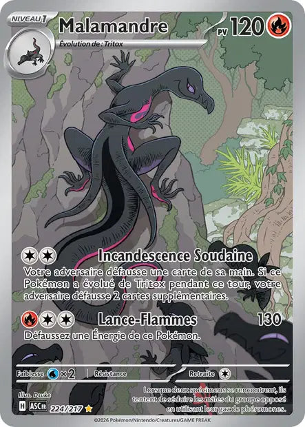 Malamandre IR  - Héros Transcendants  - 224/217