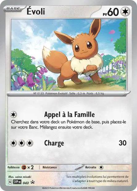 Evoli Holo - Promo  - SVP043