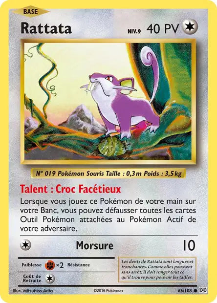Rattata - Xy Évolution - 66/108
