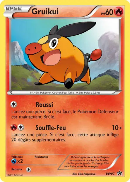 Gruikui Holo- Promo  - BW07