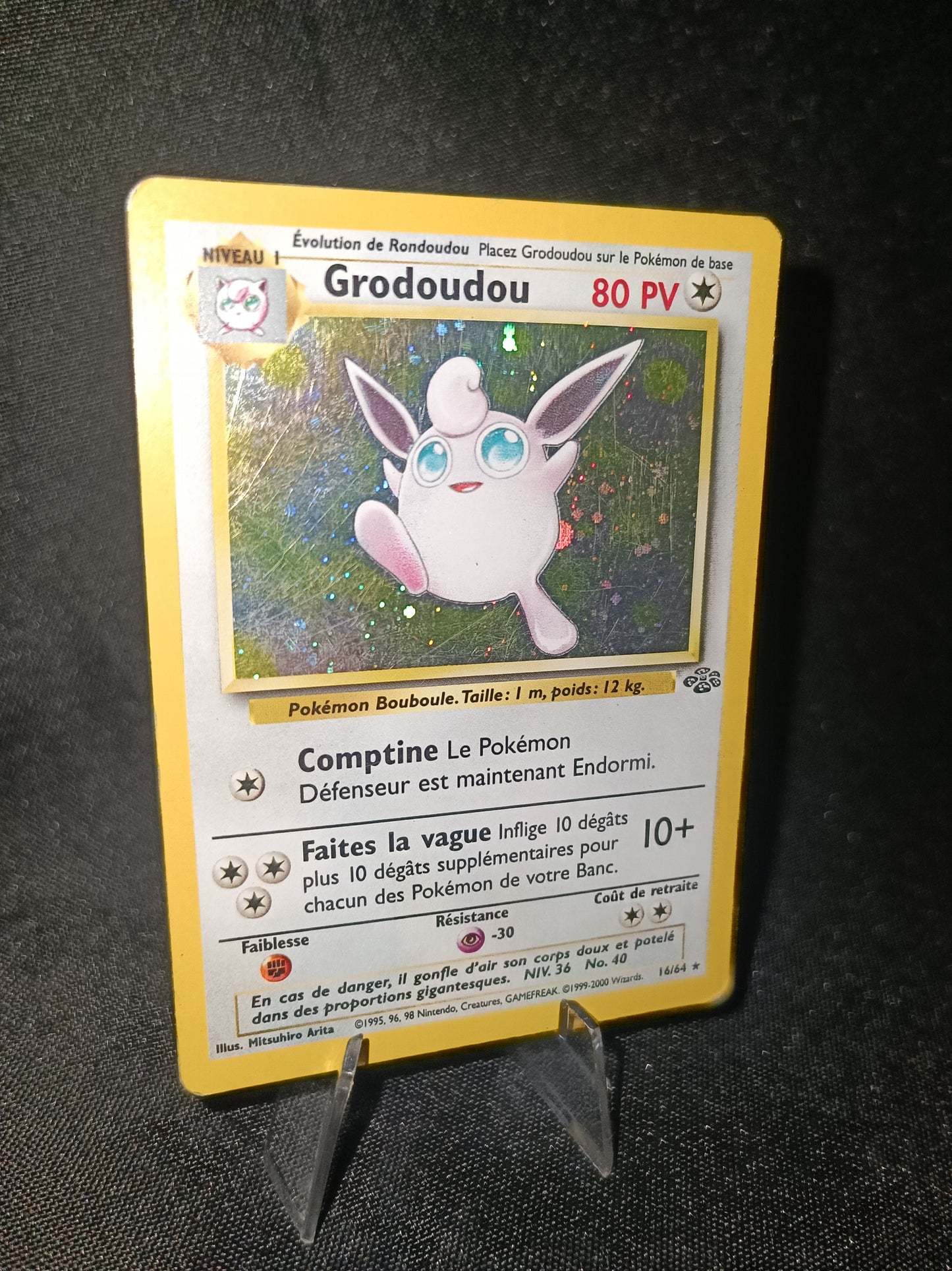 Grodoudou Holo  - Jungle - 16/64