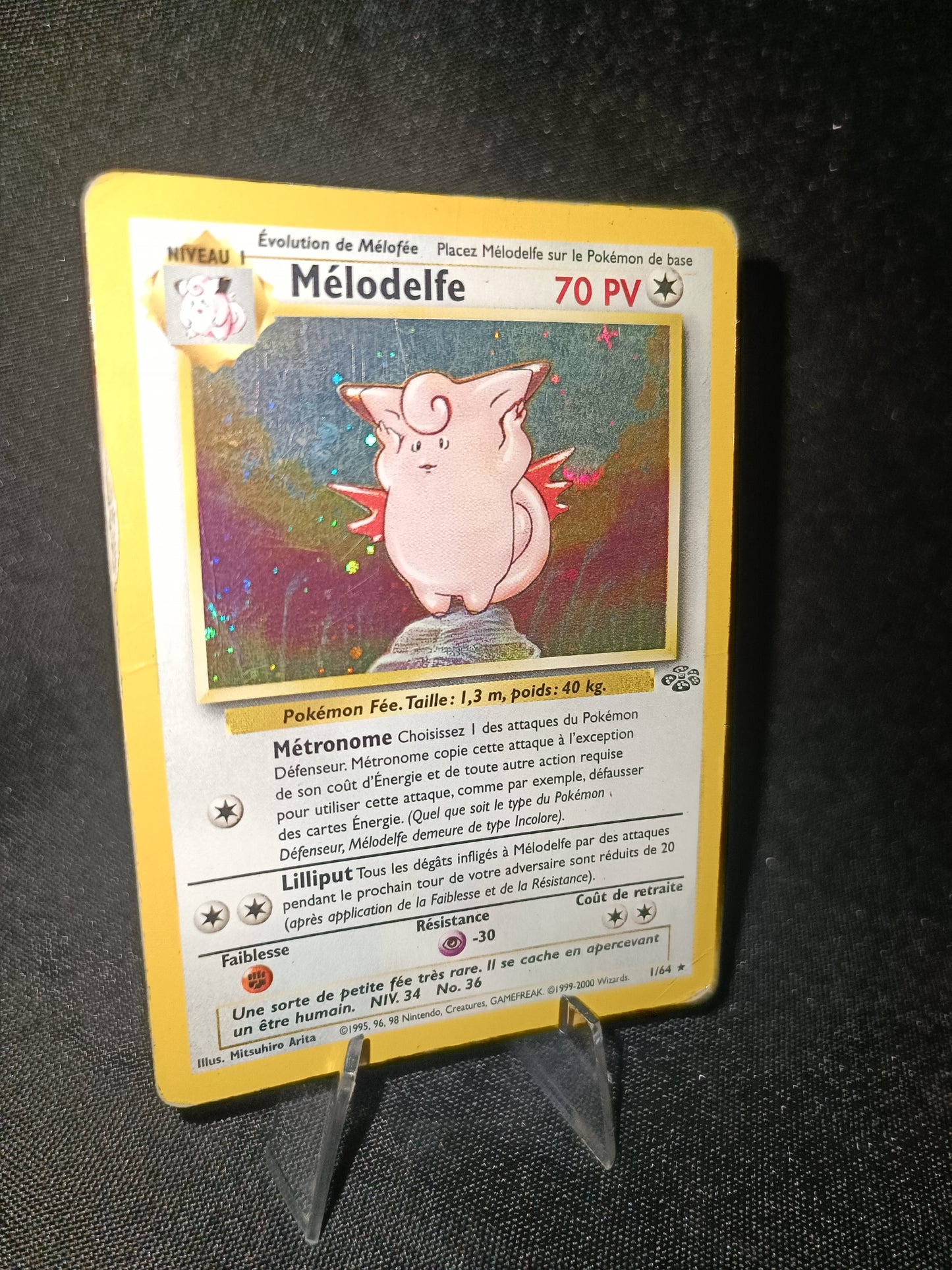 Melodelfe Holo  - Jungle - 1/64