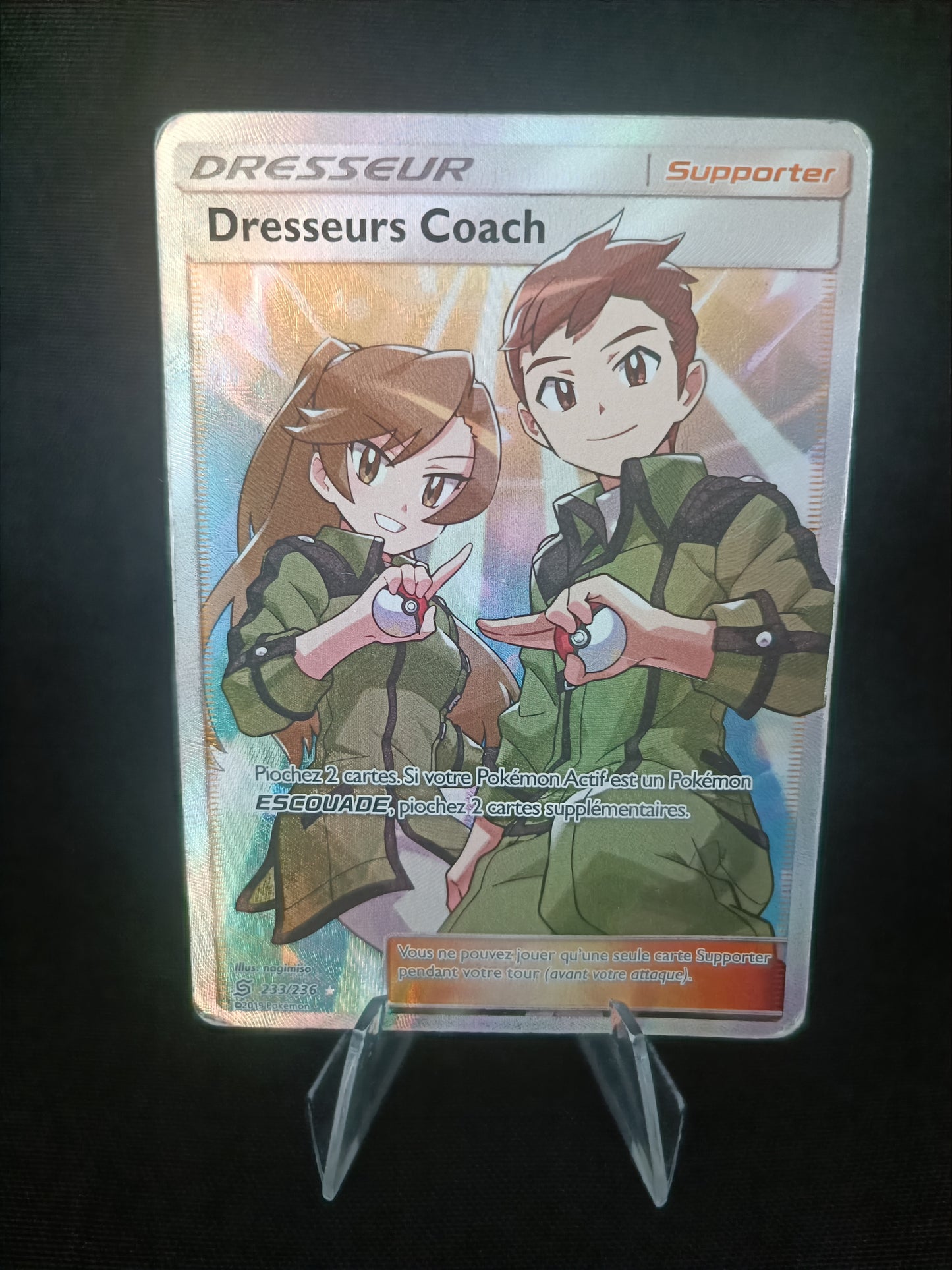 Dresseurs Coach - Harmonie Des Esprits - 233/236