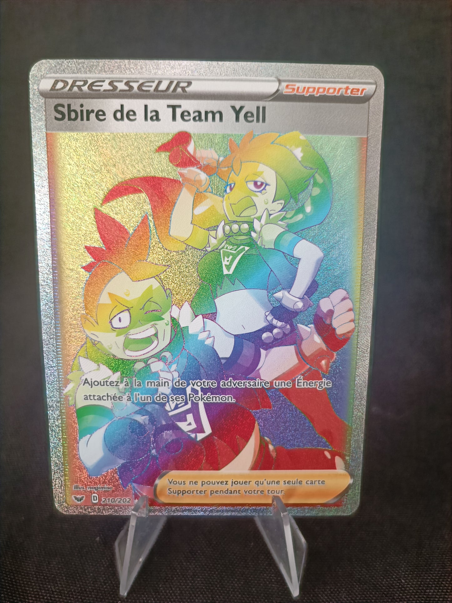 Sbire de la Team Yell Rainbow - Epée et Bouclier - 210/202