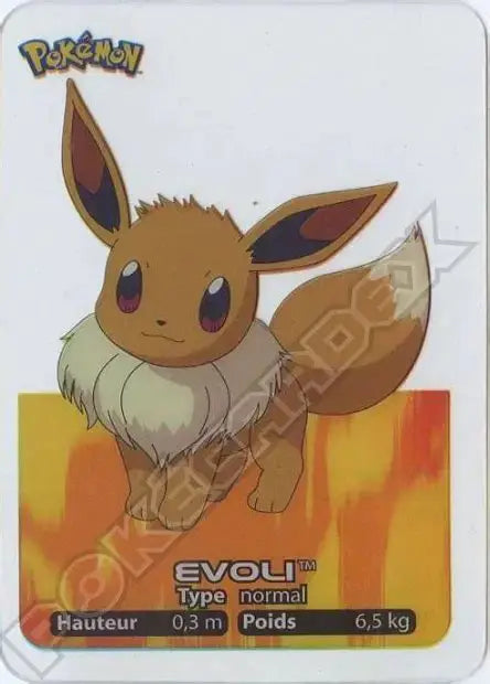 Evoli - Lamincard
