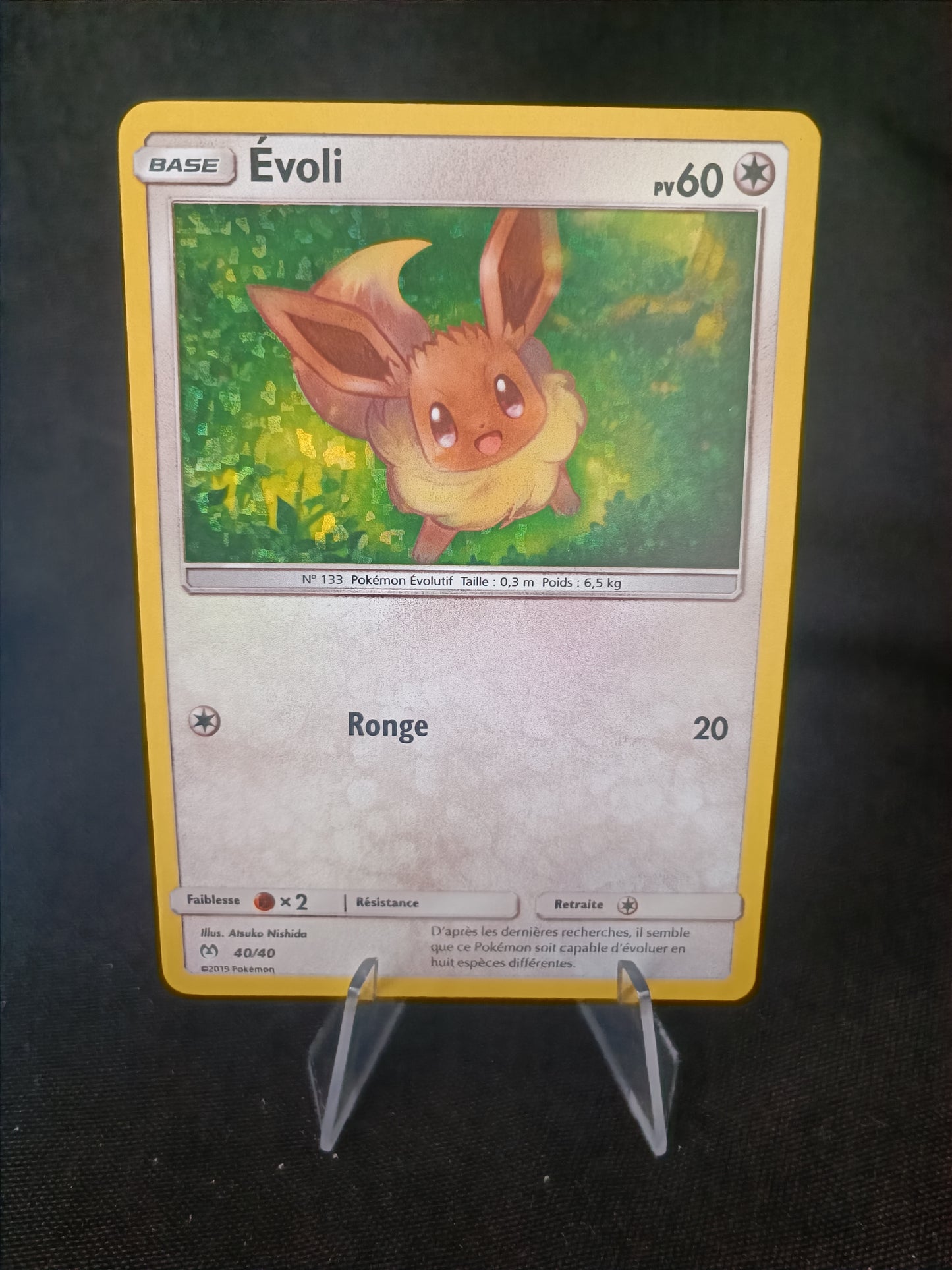 Evoli Holo- Mac Donald 2019 - 40/40