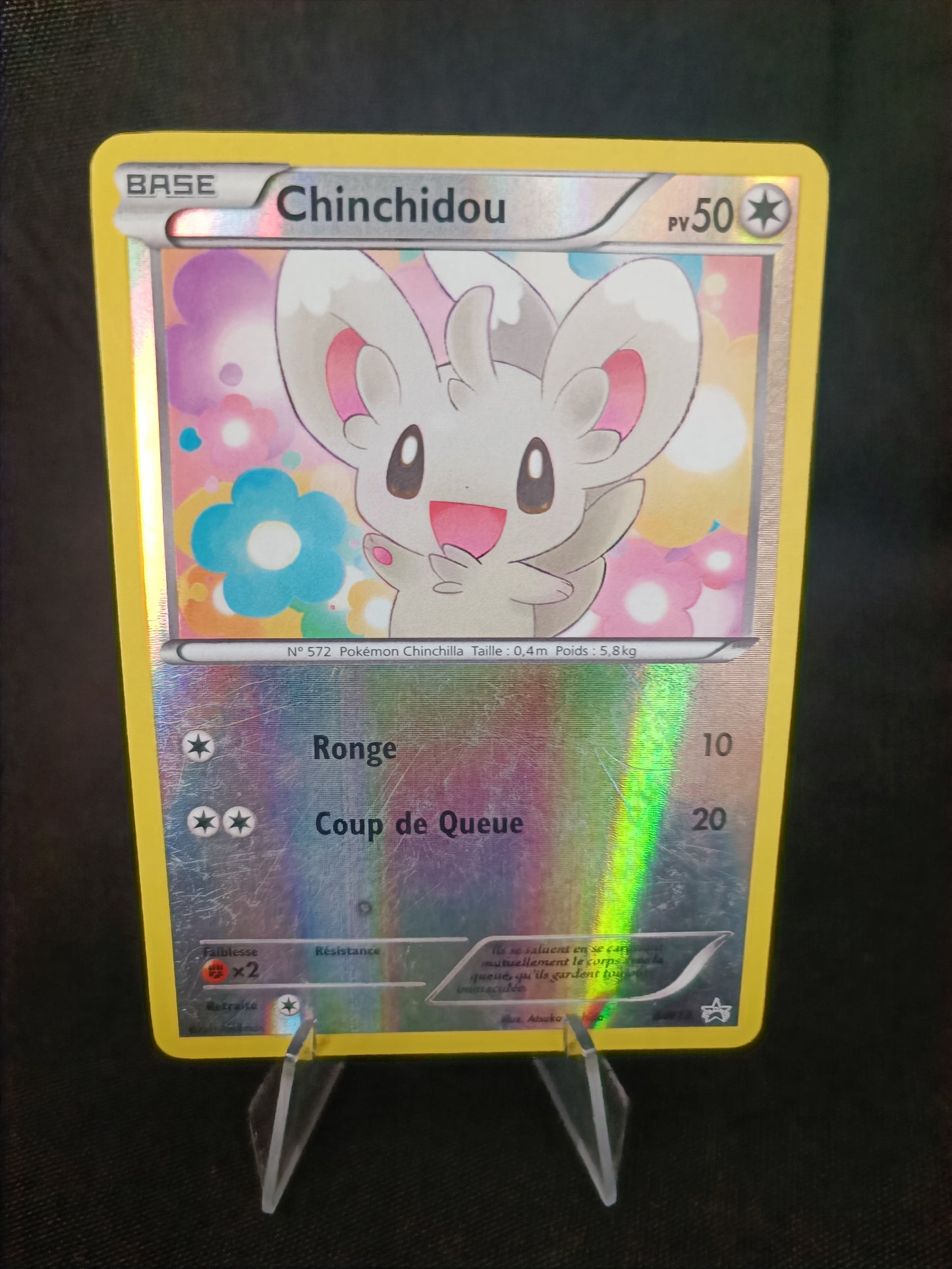 Chinchidou - Promo  - BW13