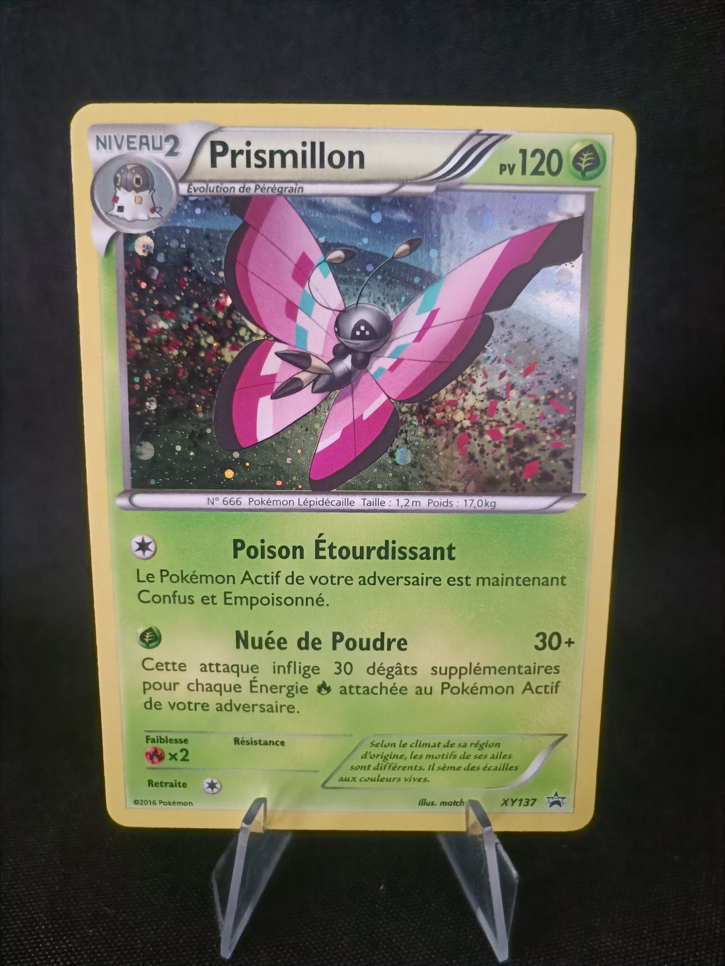 Prismillion Holo - Promo  - XY137