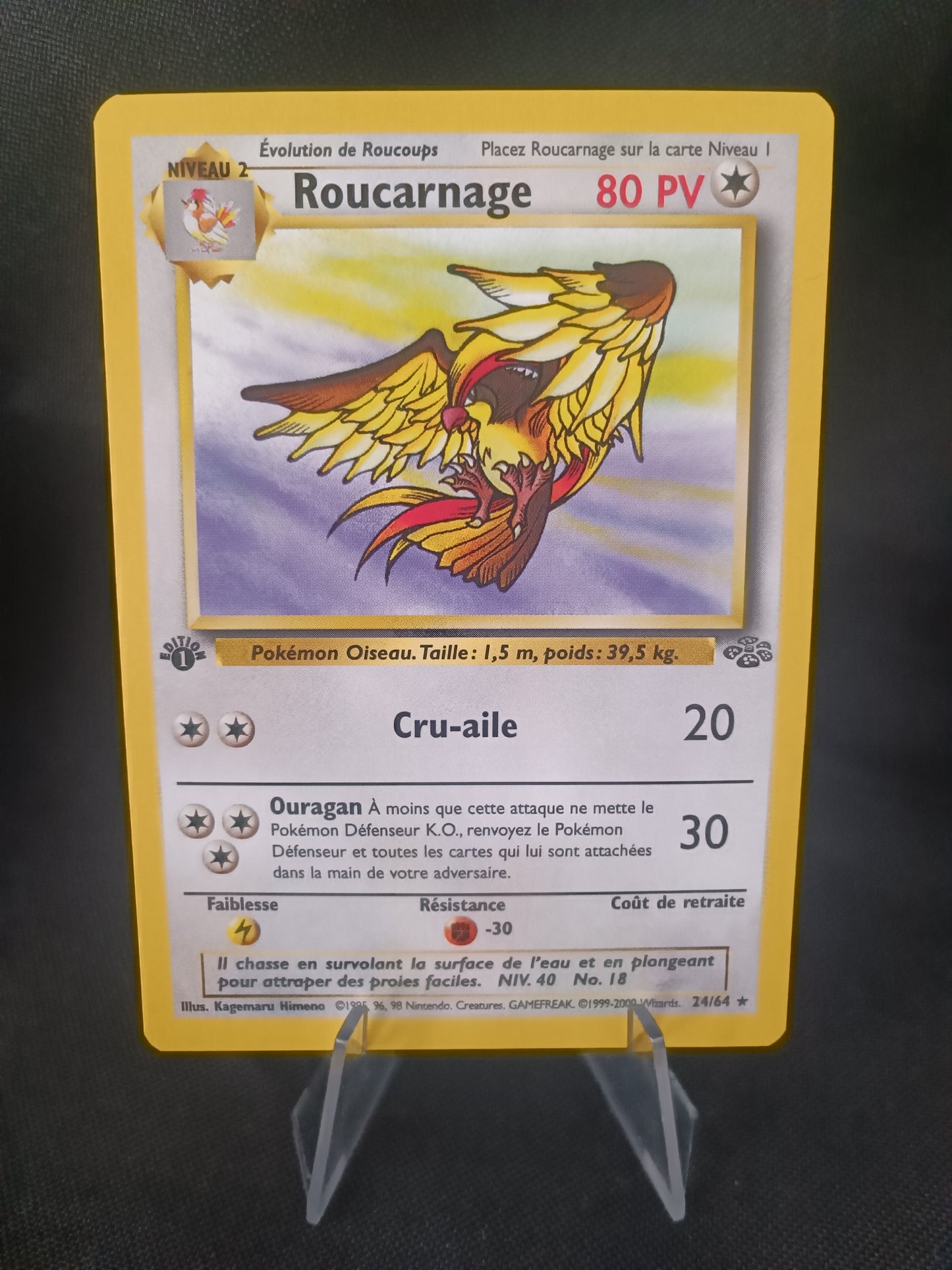 Roucarnage Ed1  - Jungle - 24/64