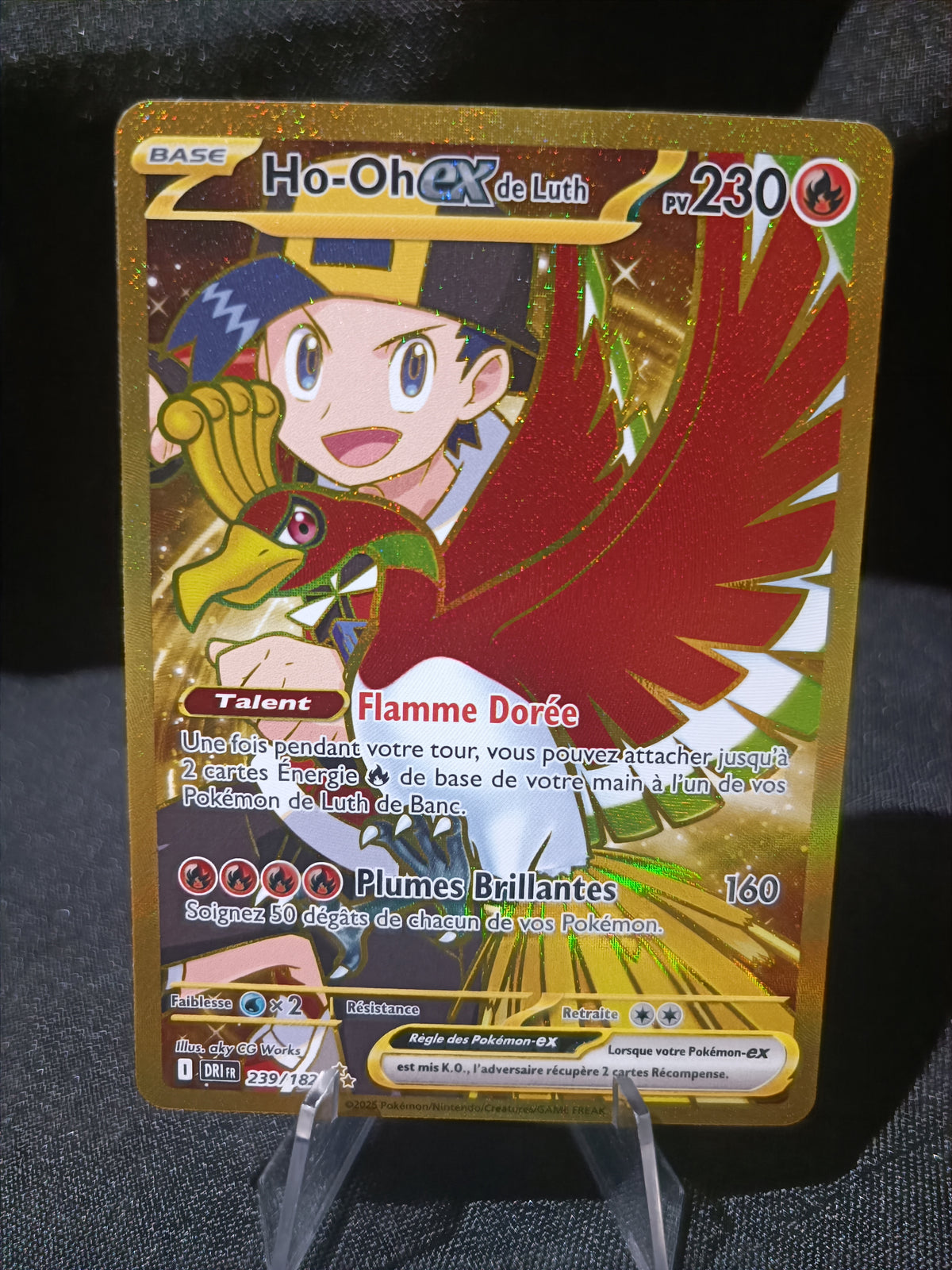 Ho oh Gold - Rivalités Destinées -239/182