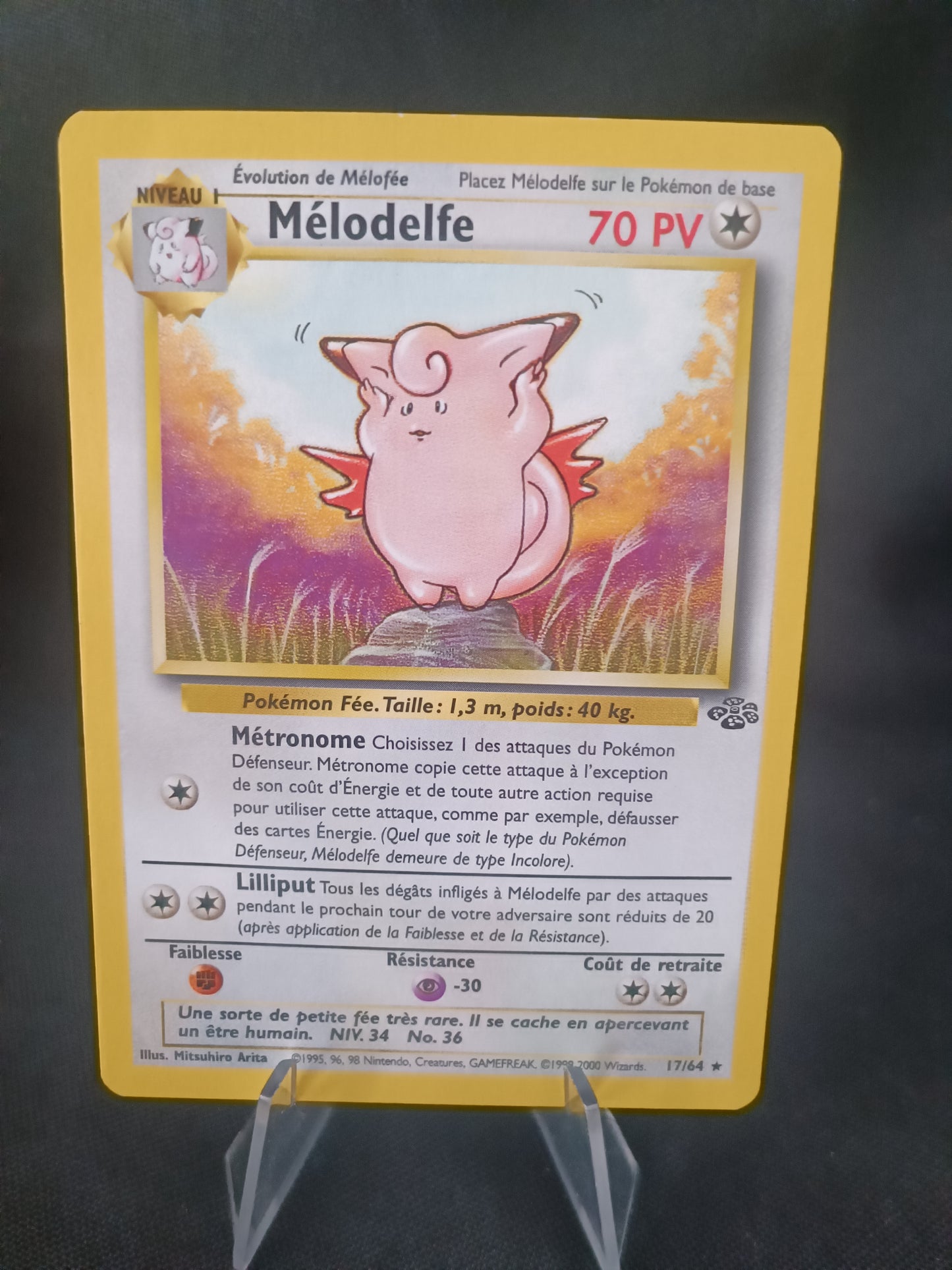Melodelfe  - Jungle - 17/64