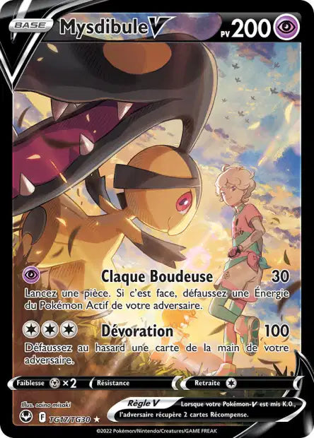 Mysdibule V - Tempête argentée   - TG17/TG30