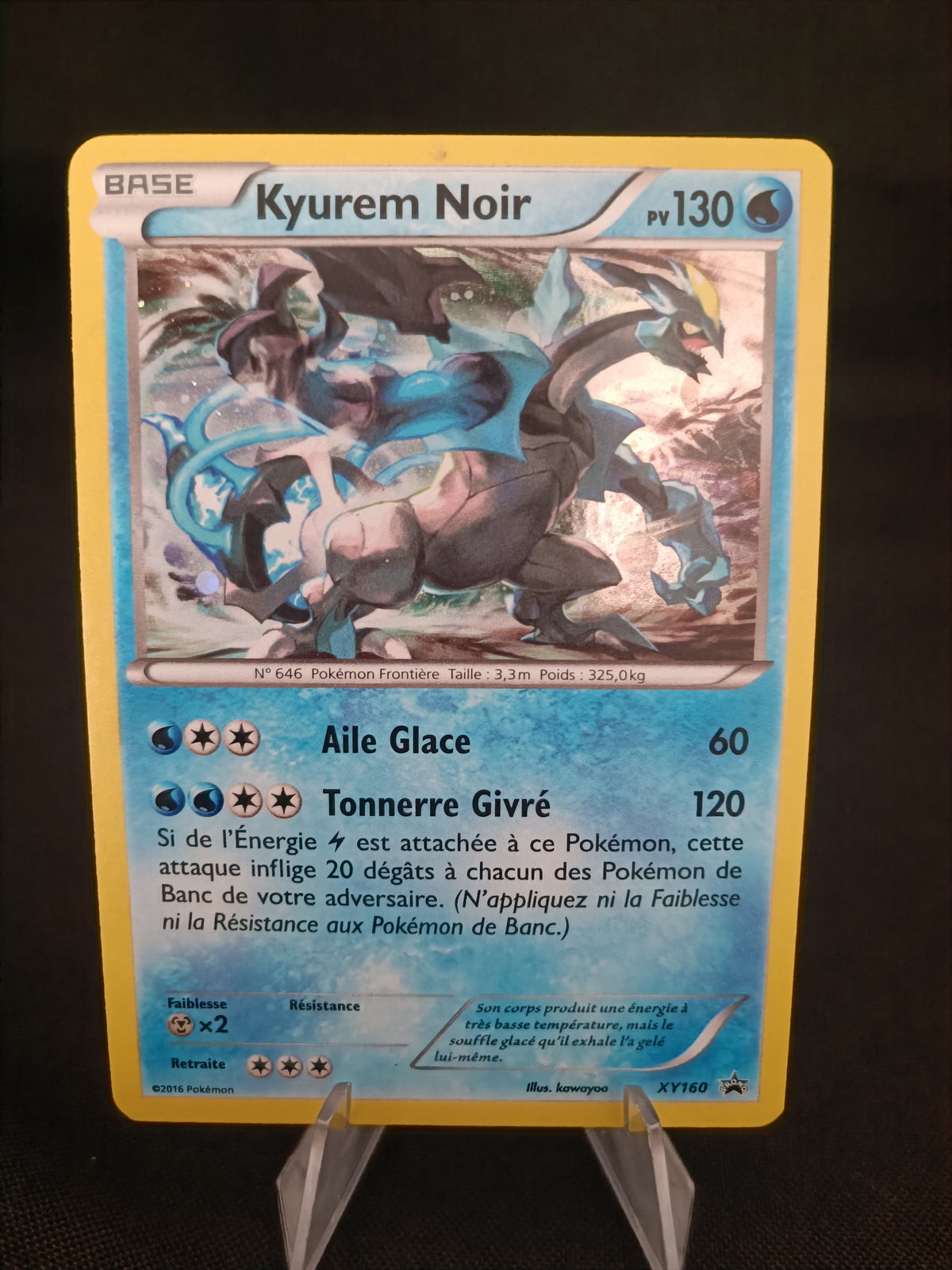 Kyurem Noir Holo  - Promo  - XY160