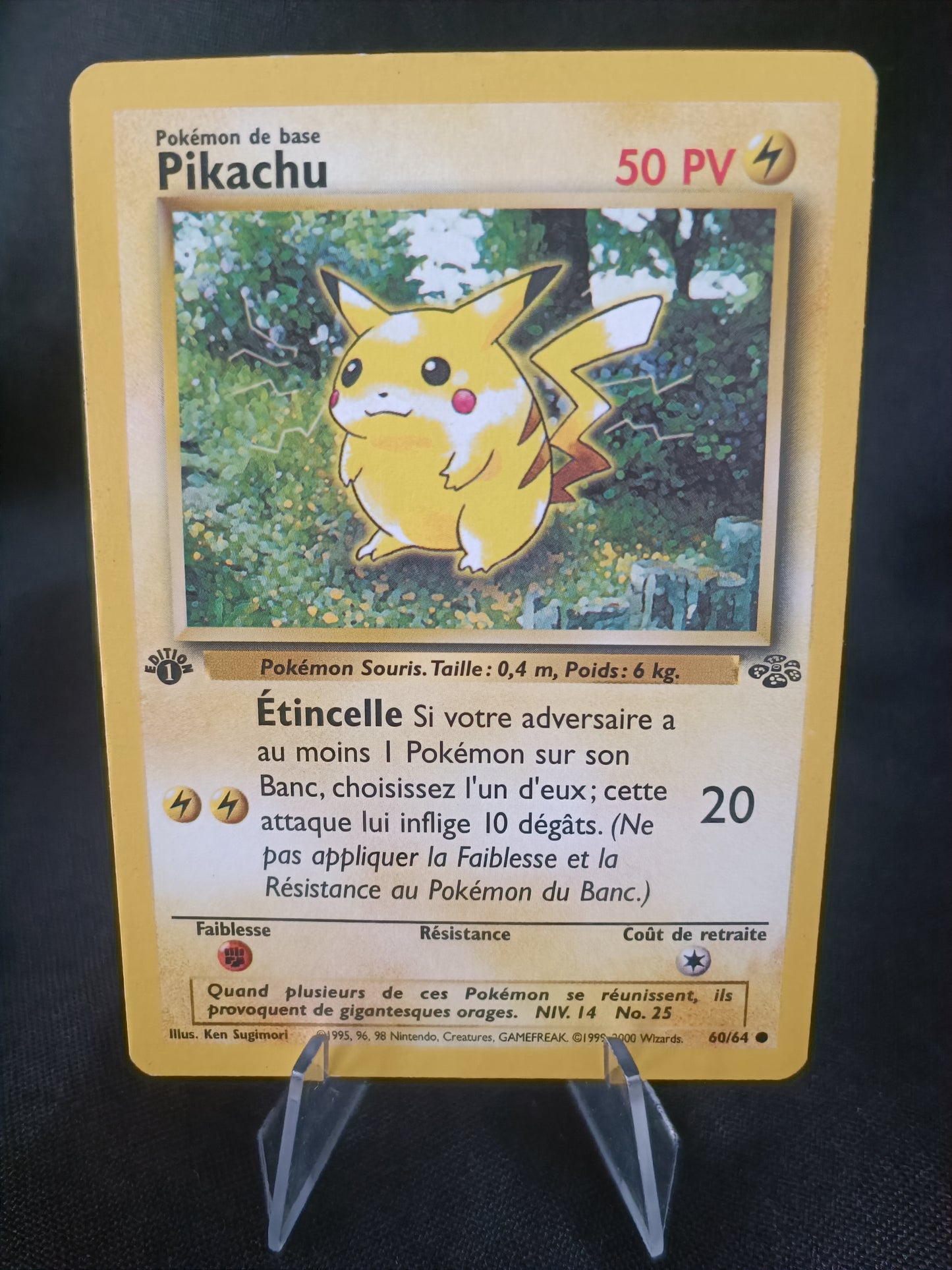 Pikachu Ed1 - Jungle - 60/64