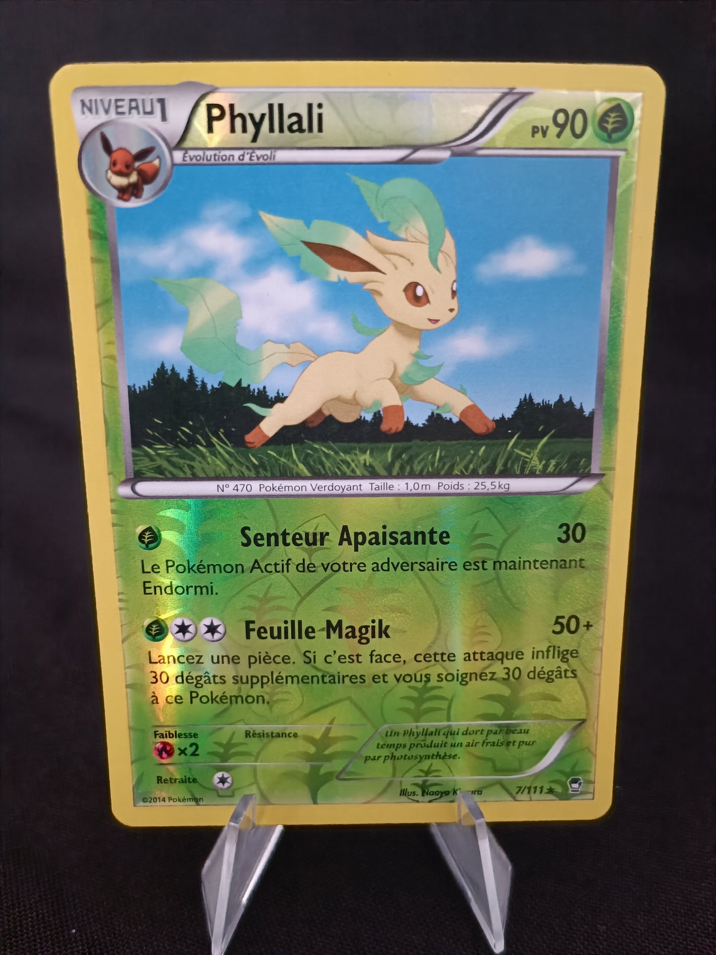 Phyllali Reverse - Xy Poing  furieux - 7/111