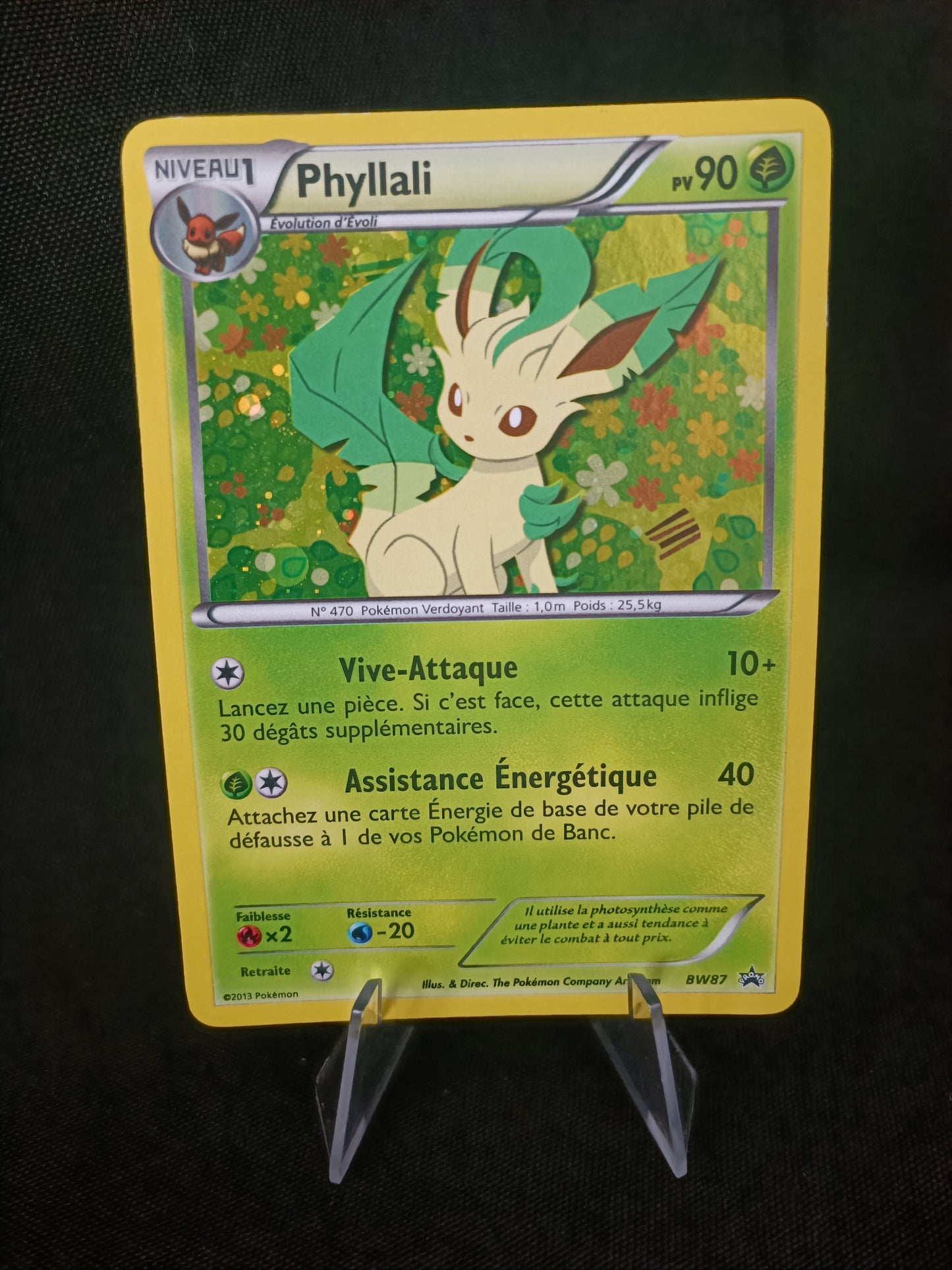 Phyllali holo - Promo  - BW87