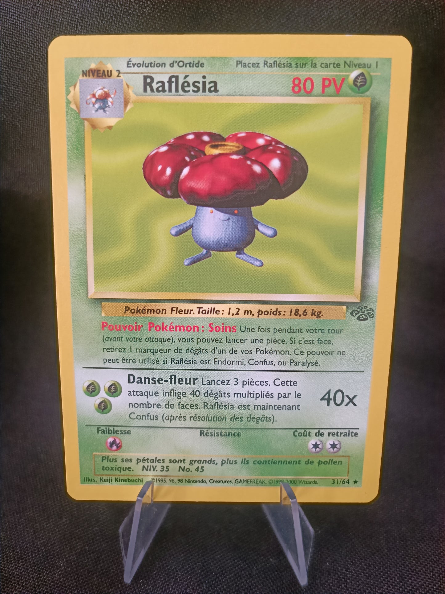 Rafflesia - Jungle - 31/64