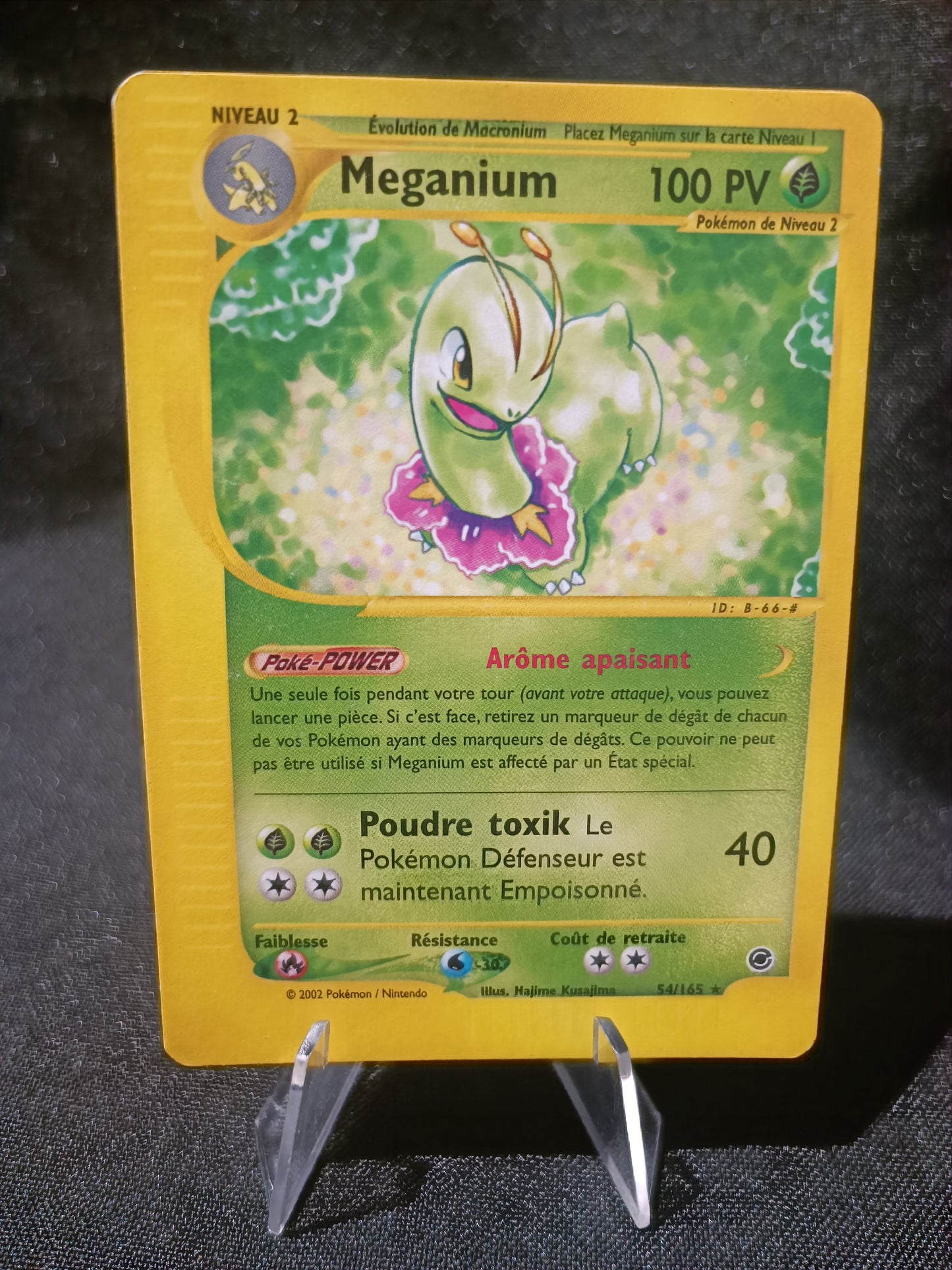 Meganium - Expedition  - 54/165