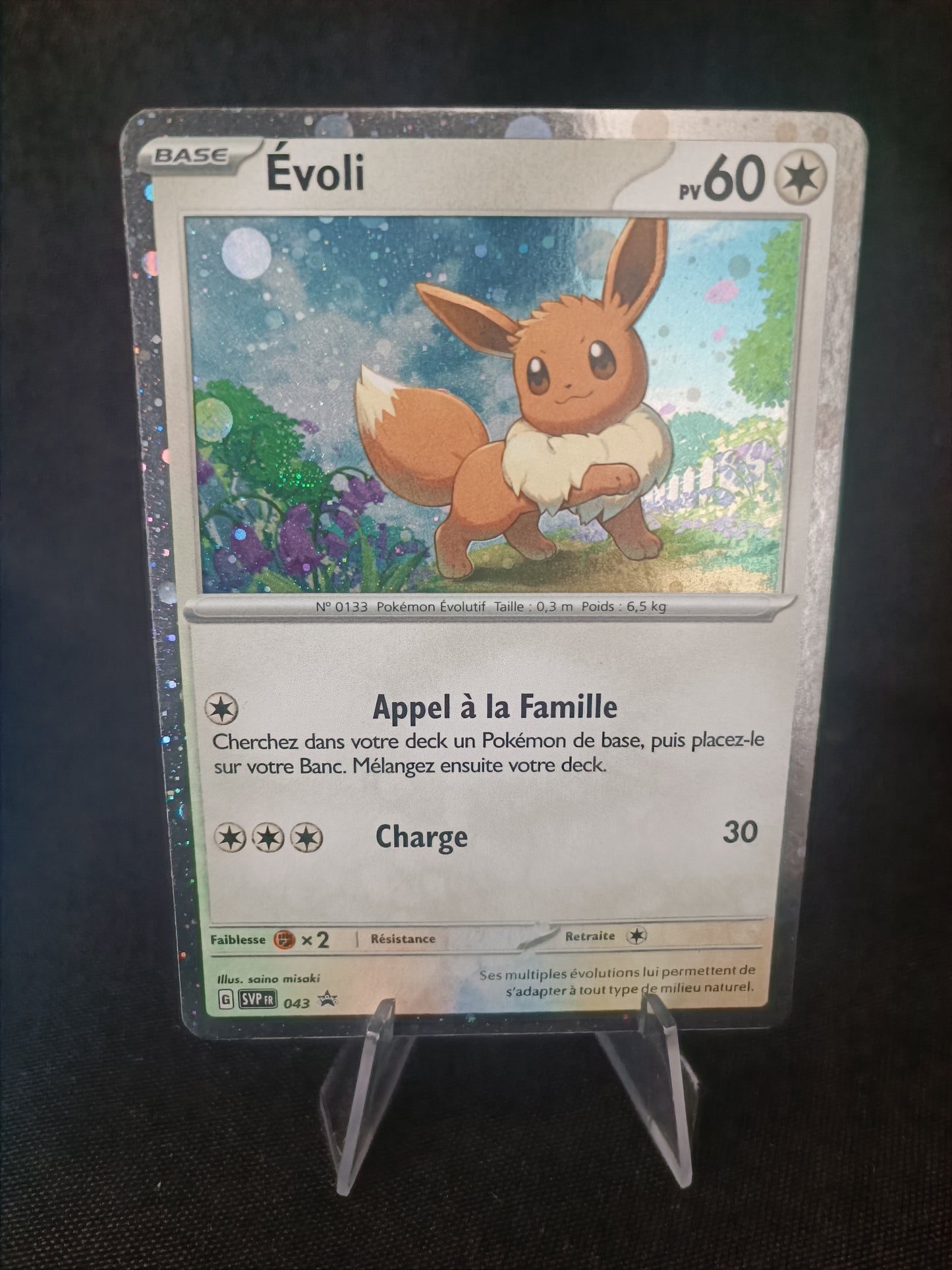 Evoli Holo - Promo  - SVP043