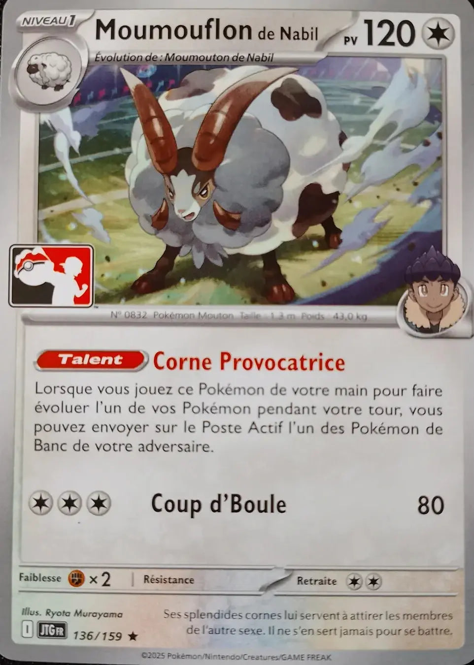 Moumouflon - Aventure Ensemble Play Pokemon- 136/131