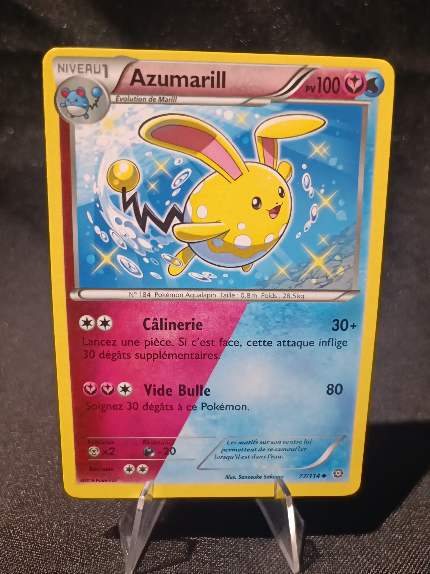 Azumarill - XY Offensive vapeur - 77/114