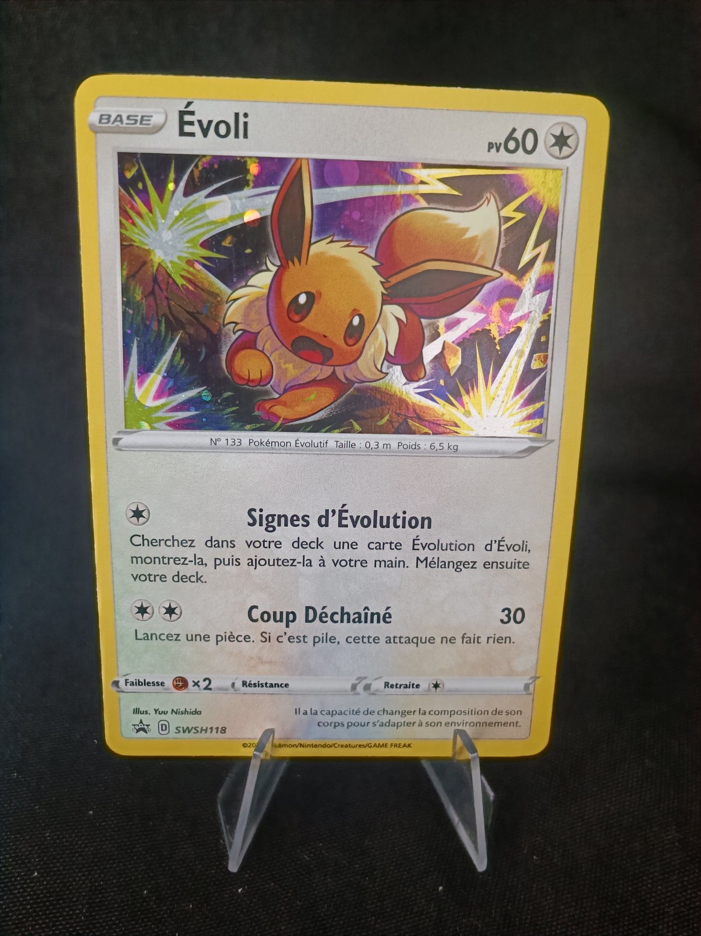 Evoli Holo - Promo - SWSH118