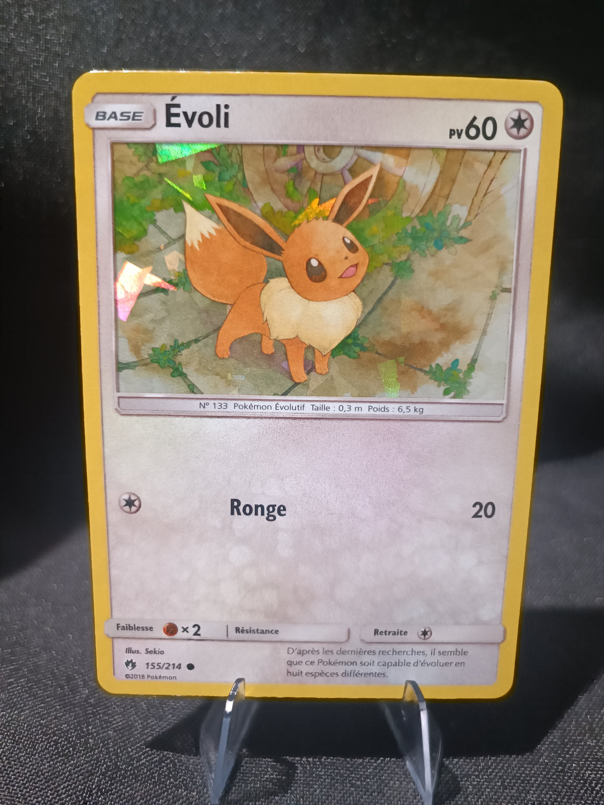 Evoli Holo Prisme - Tonerre Perdu  - 155/214