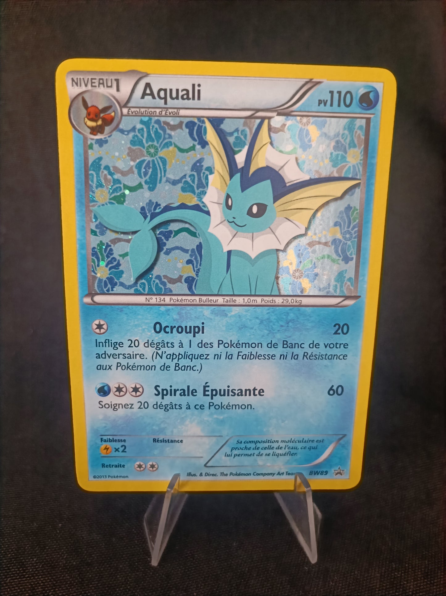 Evoli holo - Promo  - BW89