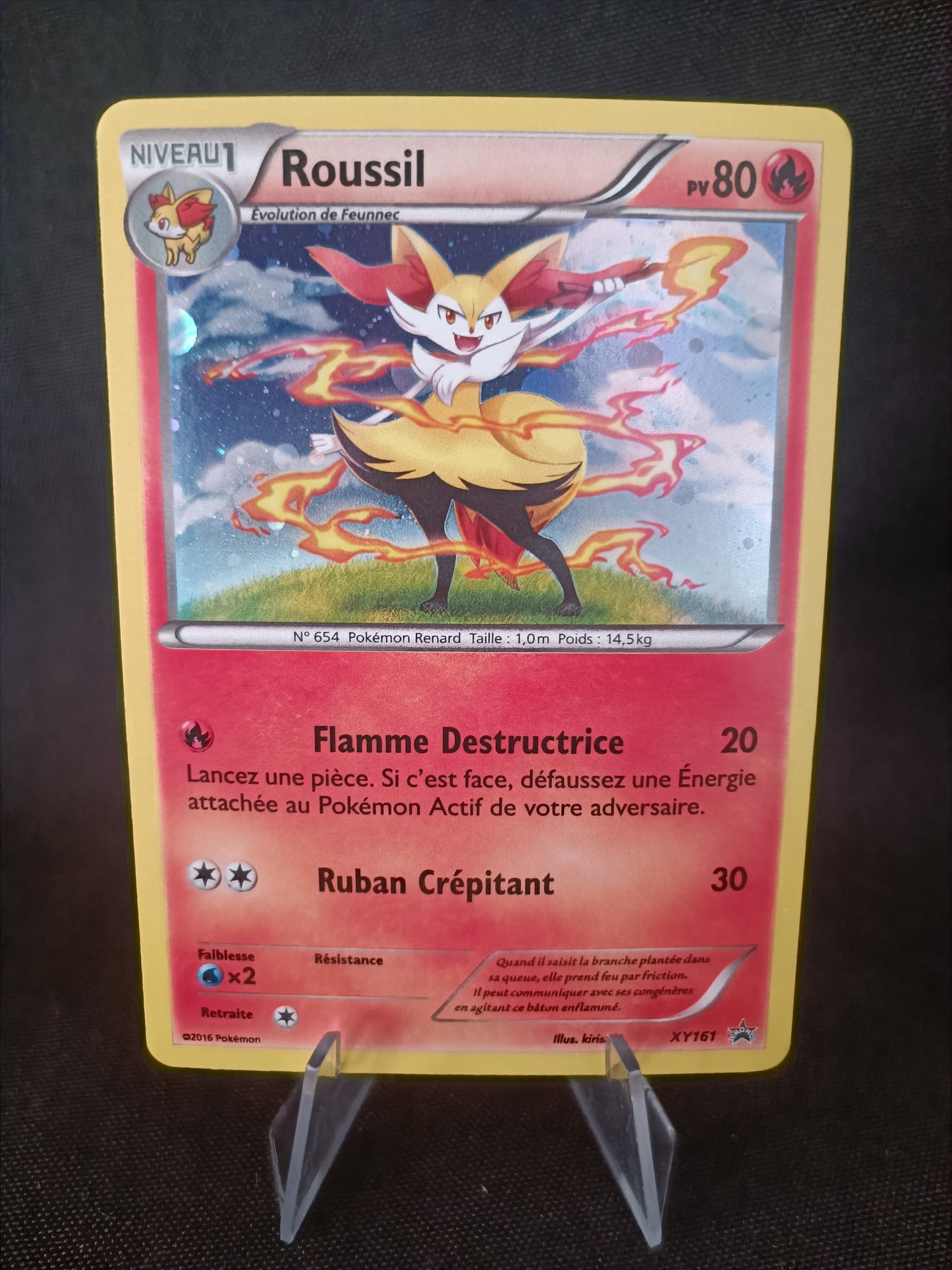 Roussil Holo - Promo  - XY161