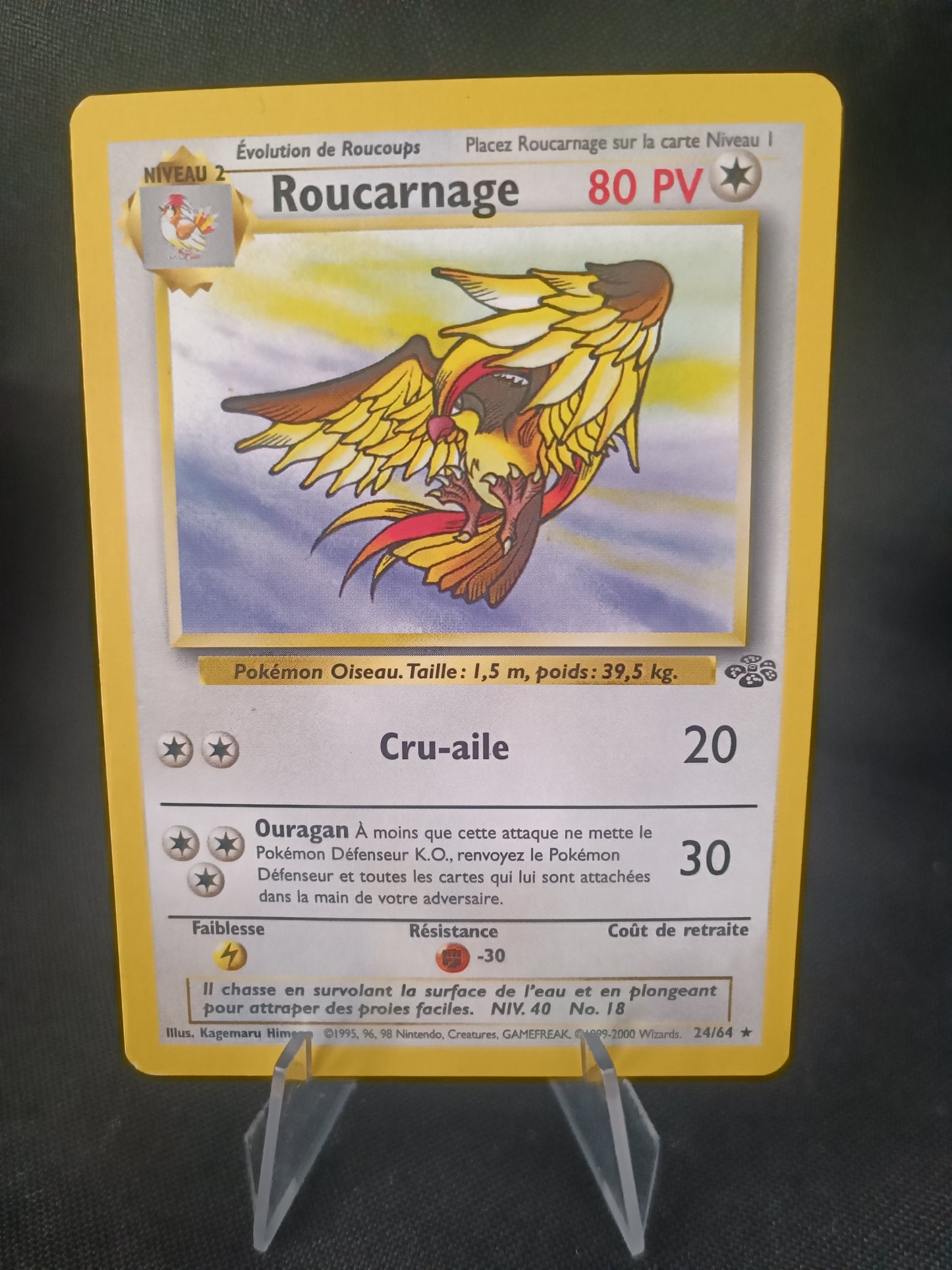 Roucarnage - Jungle - 24/64