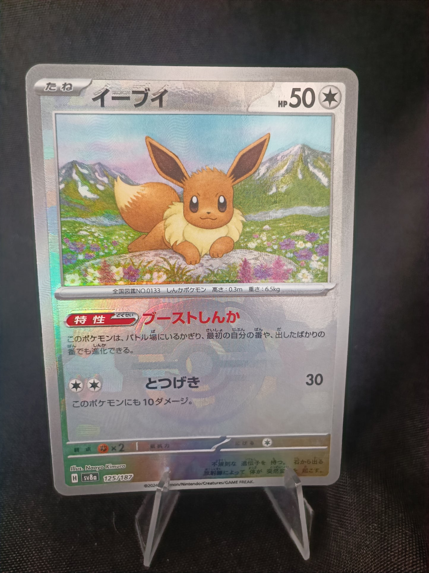 Evoli Masterball - SV8a Japonais  - 125/187