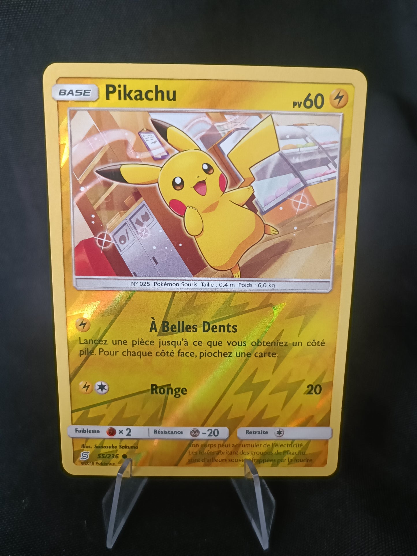 Pikachu Reverse - Harmonie des Esprits - 55/236