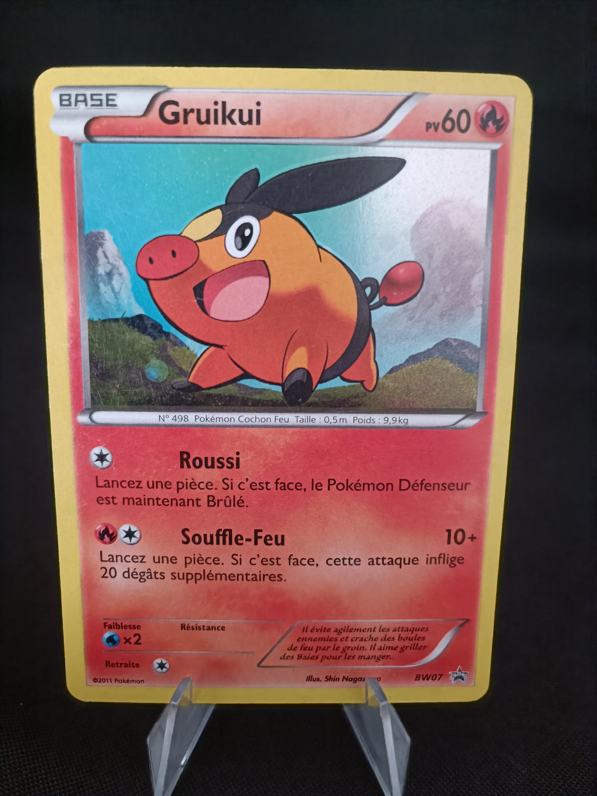 Gruikui Holo- Promo  - BW07