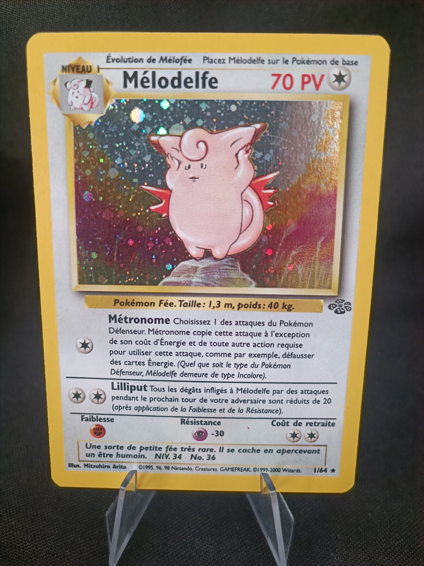 Melodelfe Holo  - Jungle - 1/64